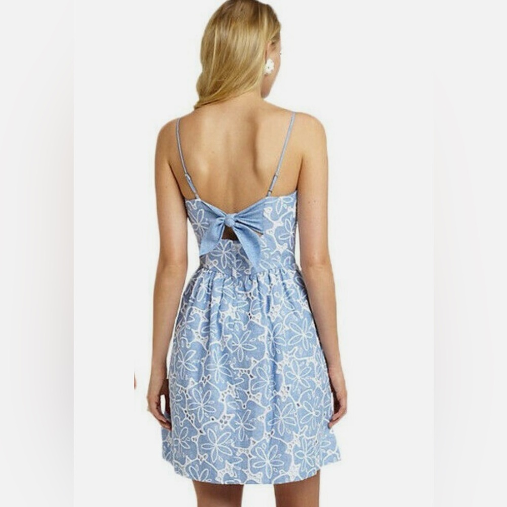 LILLY PULITZER Hollander For A Dollar Chambray Eyelet Dress SIZE: 4 - Picture 3 of 15